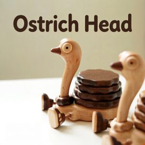 ostrich