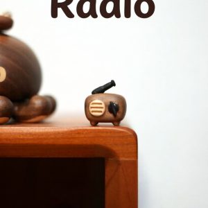 Radio refrigerator magnet